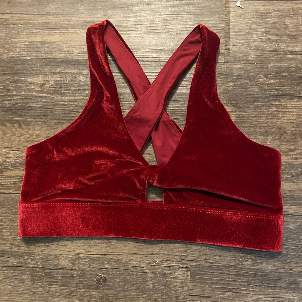 Fabletics Oasis Velour Sports Bra